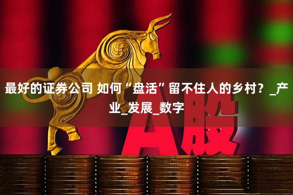 最好的证券公司 如何“盘活”留不住人的乡村？_产业_发展_数字