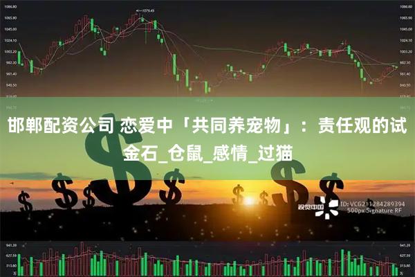 邯郸配资公司 恋爱中「共同养宠物」：责任观的试金石_仓鼠_感情_过猫