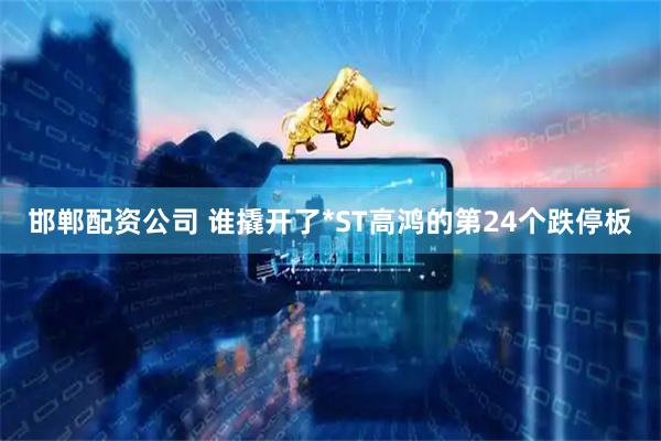 邯郸配资公司 谁撬开了*ST高鸿的第24个跌停板